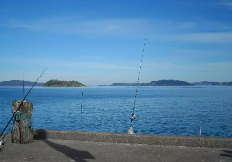 בית מלון כפרי Foreshore Motor Lodge