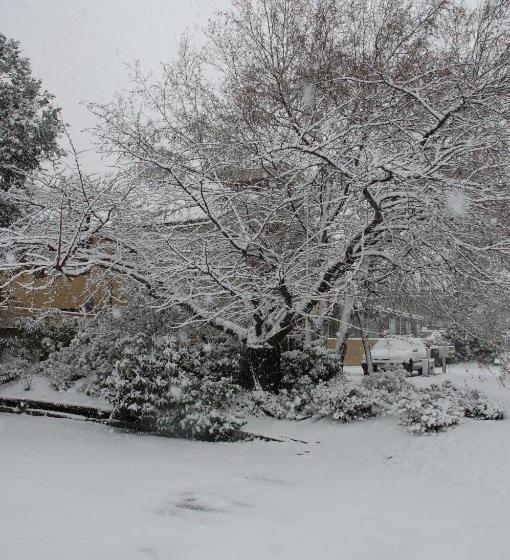 فندق Queenstown Gateway Apartments