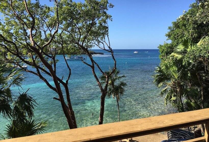 هتل Half Moon Resort