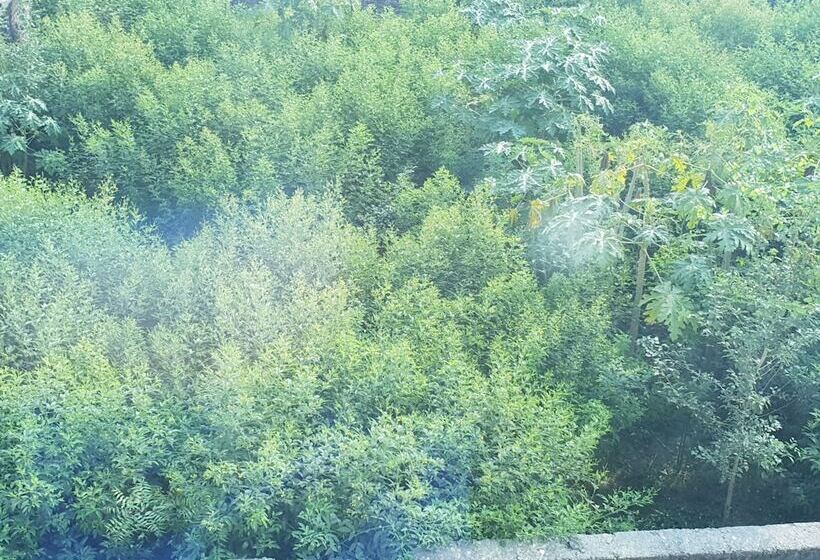 هتل Mariya International