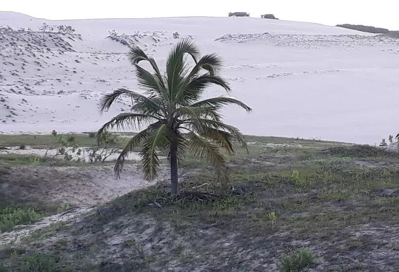 هتل Paraíso Da Dunas