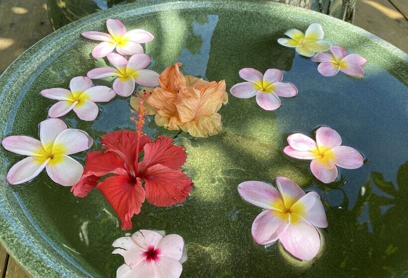 پانسیون Hali Hali House