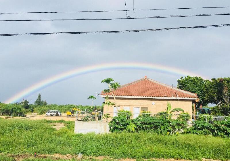 پانسیون Hali Hali House