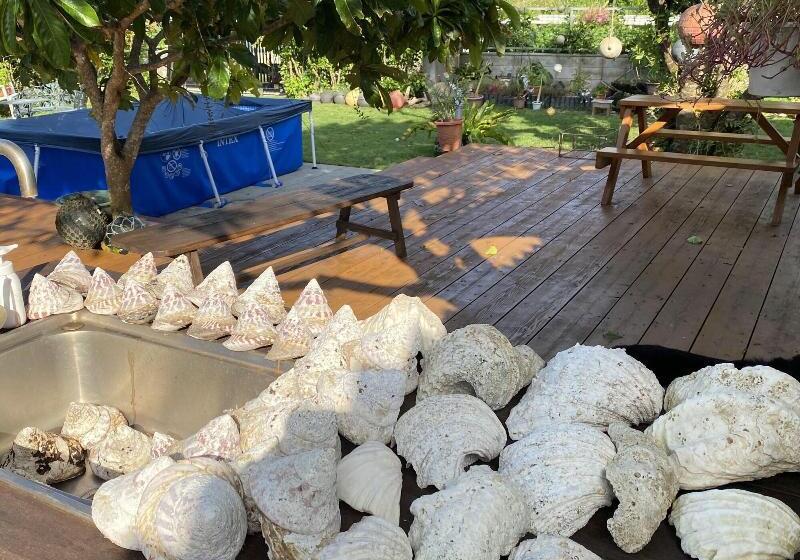 پانسیون Hali Hali House