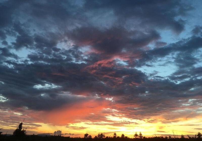 پانسیون Hali Hali House