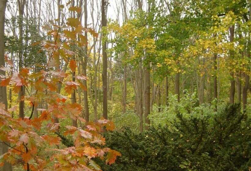 Vintage Gardens Bed & Breakfast