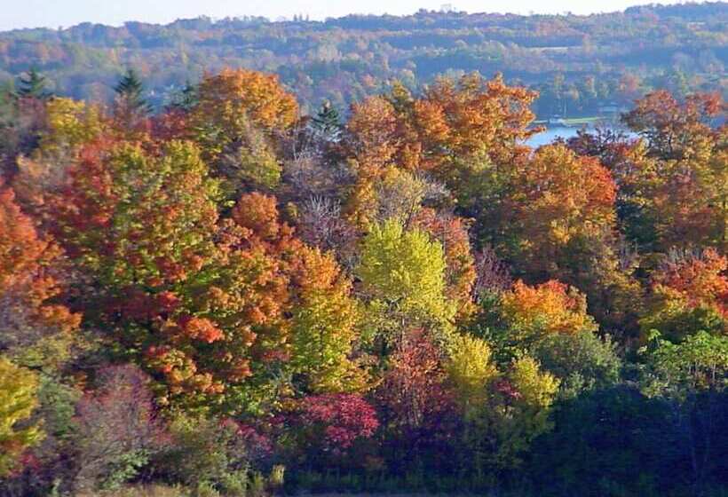 Vintage Gardens Bed & Breakfast