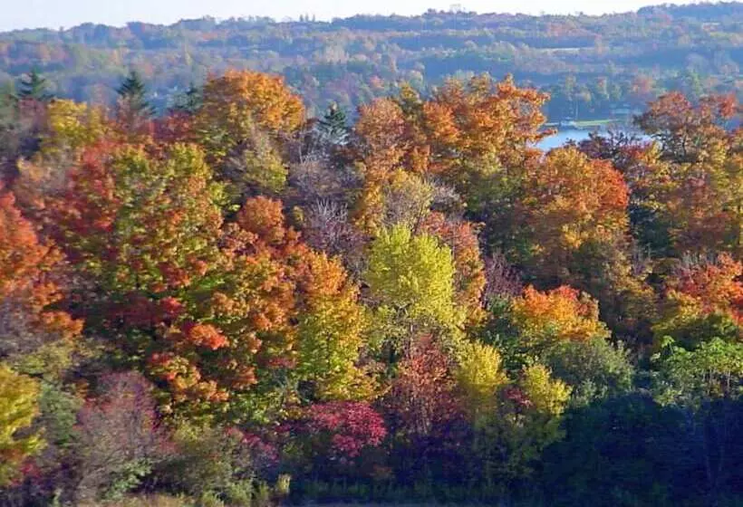 Vintage Gardens Bed & Breakfast