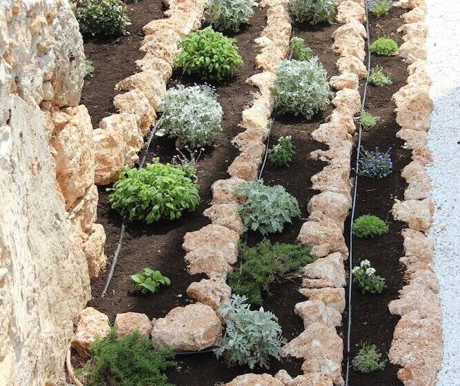 Apartments Valentina