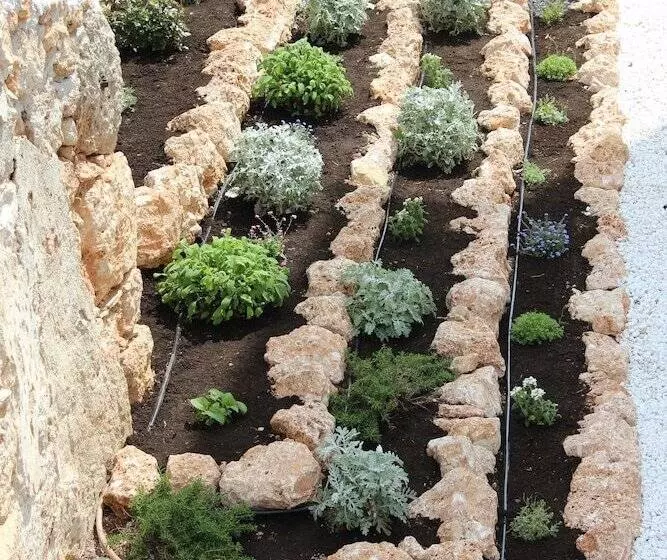 Apartments Valentina