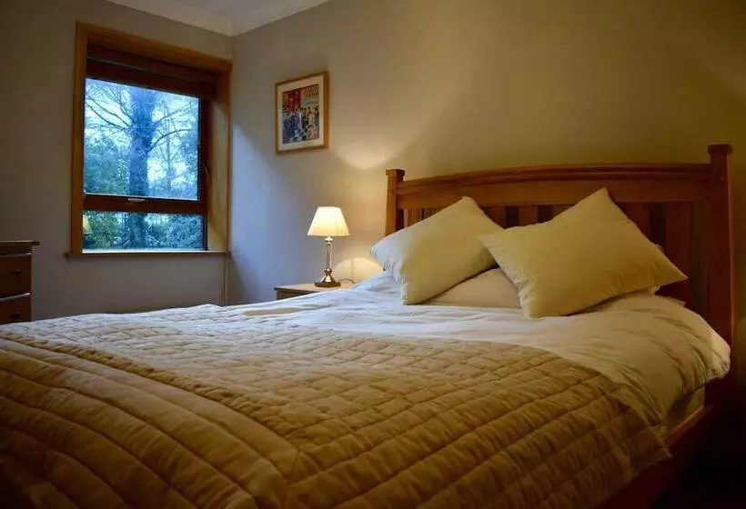 Cozy Ballsbridge Apartment