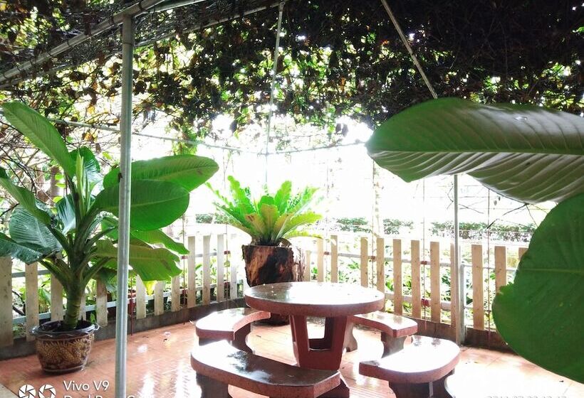 בית מלון כפרי Happy Resort