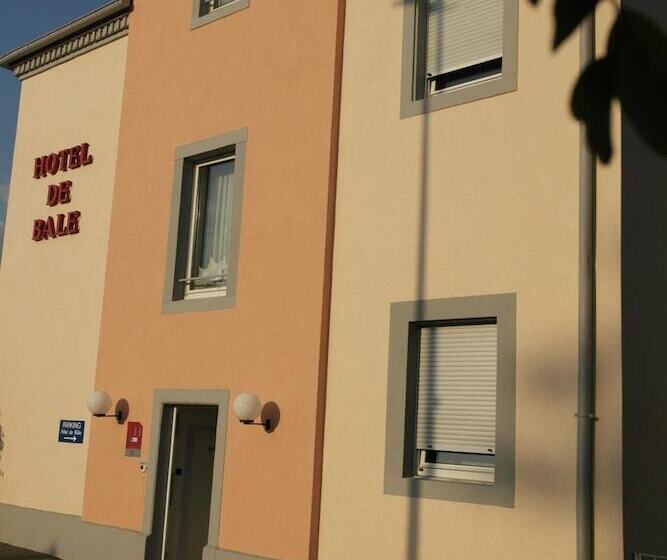 酒店 Hôtel De Bâle
