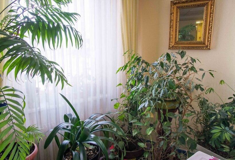 酒店 Hôtel De Bâle