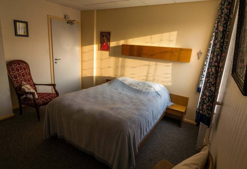 酒店 Hôtel De Bâle