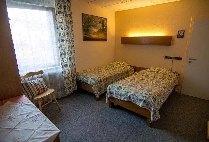 酒店 Hôtel De Bâle