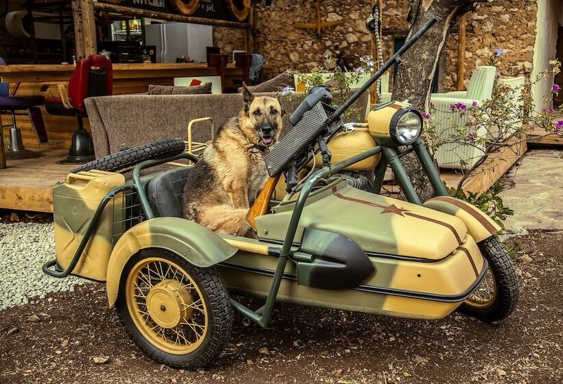 Hostel Seles Camping Adults Only