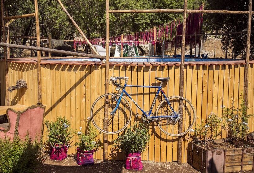 Hostel Seles Camping  Adults Only