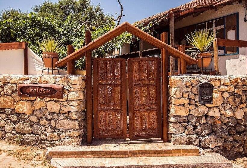 Hostel Seles Camping  Adults Only