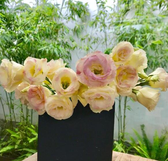 Dali Old Courtyard Boutique Inn