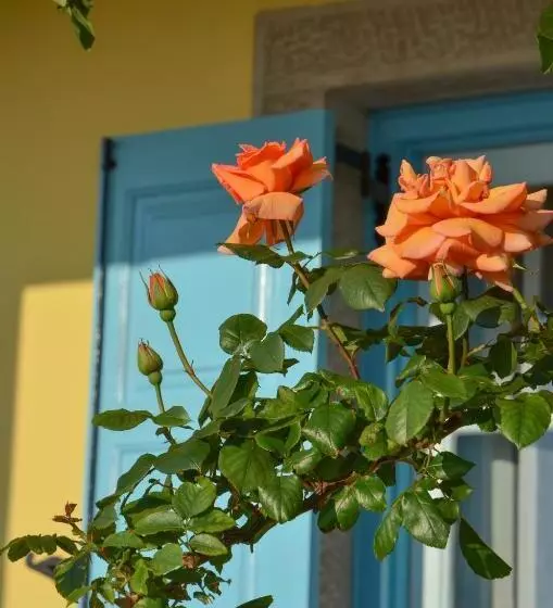 Hotelli Dina   ξενοδοχείο ντινα