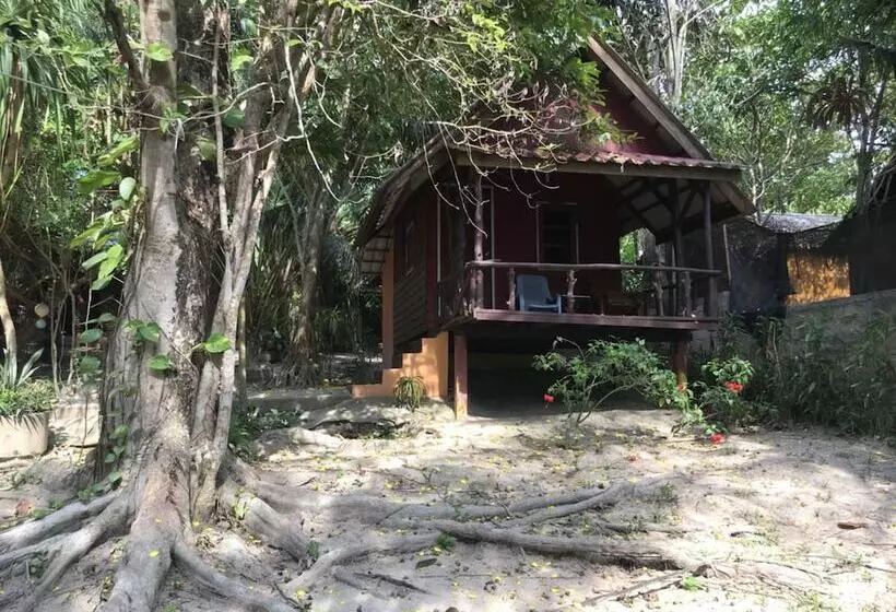 هتل Sunny Cove Beach Resort Koh Phayam