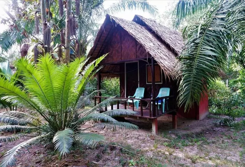 هتل Sunny Cove Beach Resort Koh Phayam