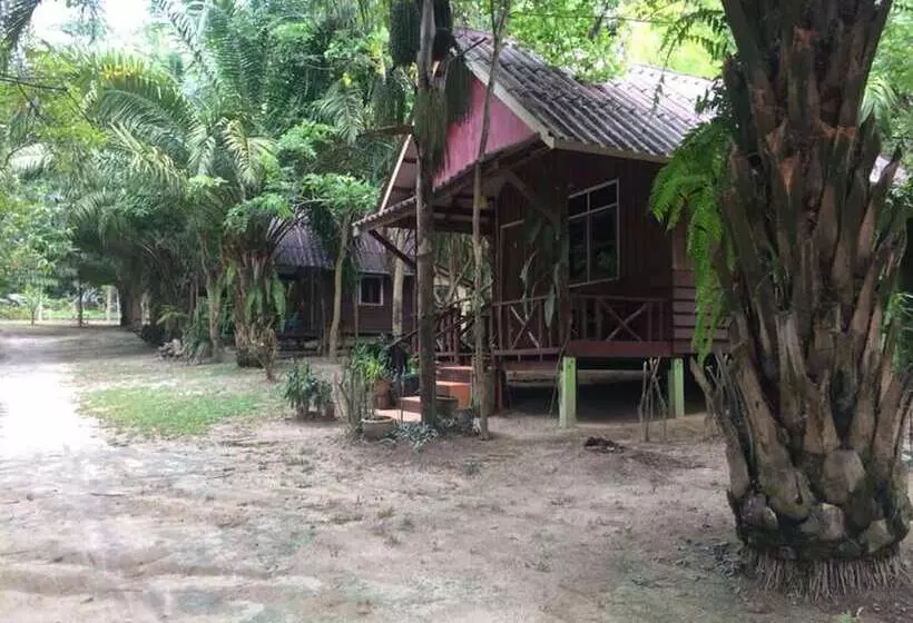 هتل Sunny Cove Beach Resort Koh Phayam