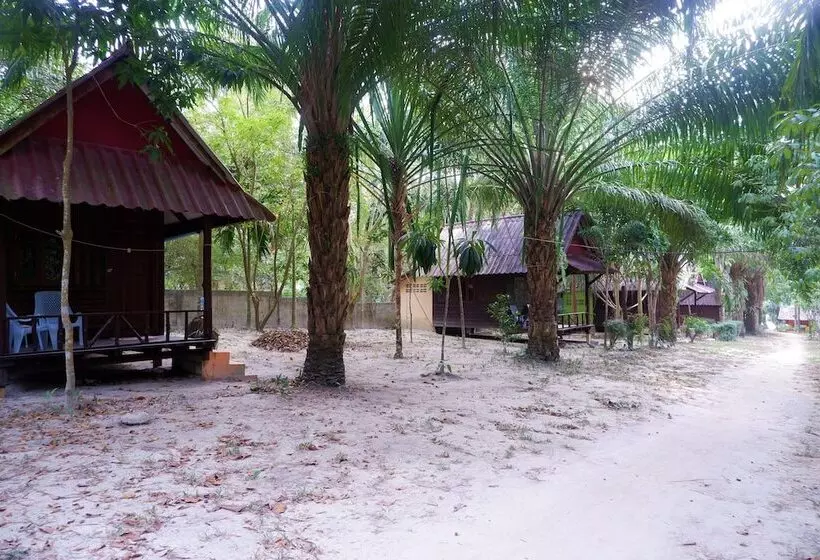 هتل Sunny Cove Beach Resort Koh Phayam