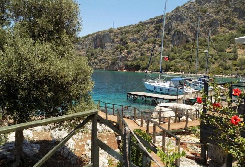 Hotel Nuri's Beach Bungalow