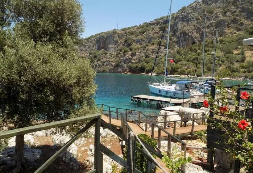 Hotelli Nuri's Beach Bungalow