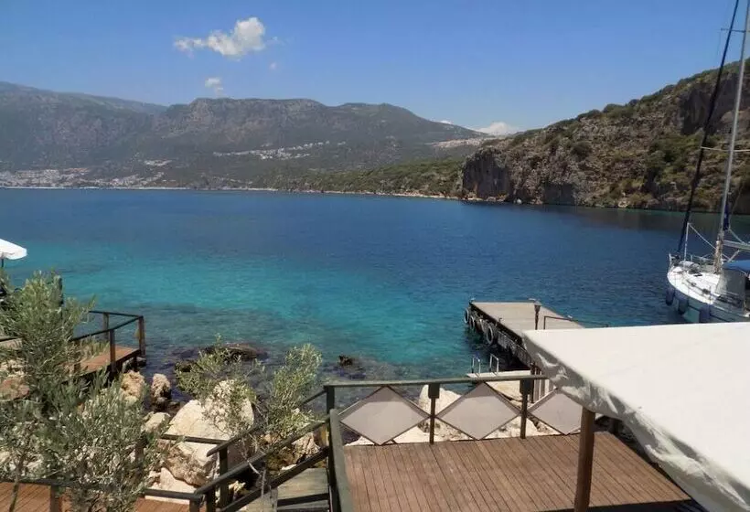 Hotelli Nuri's Beach Bungalow