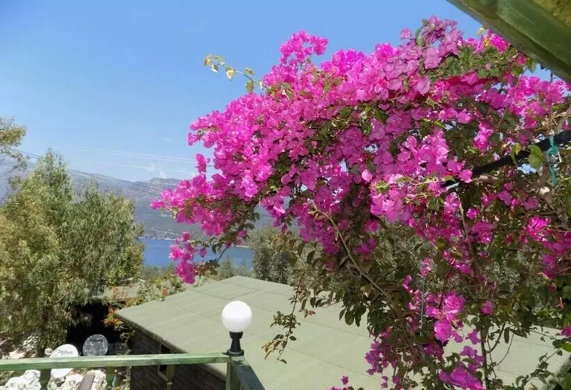 Hotelli Nuri's Beach Bungalow