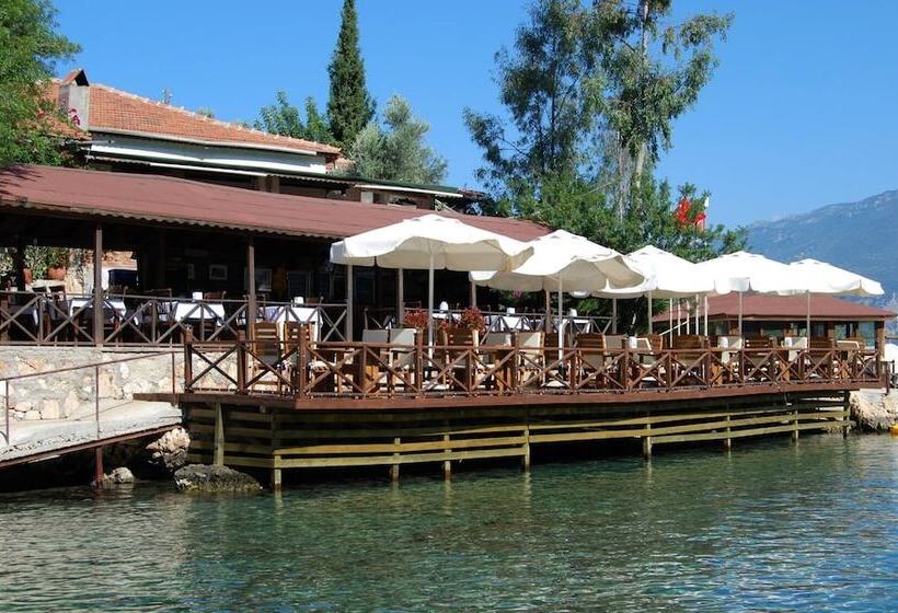 Hotel Nuri's Beach Bungalow