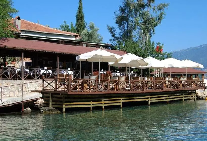 Hotelli Nuri's Beach Bungalow