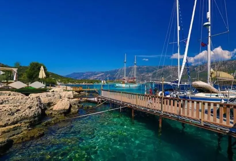 Hotelli Nuri's Beach Bungalow