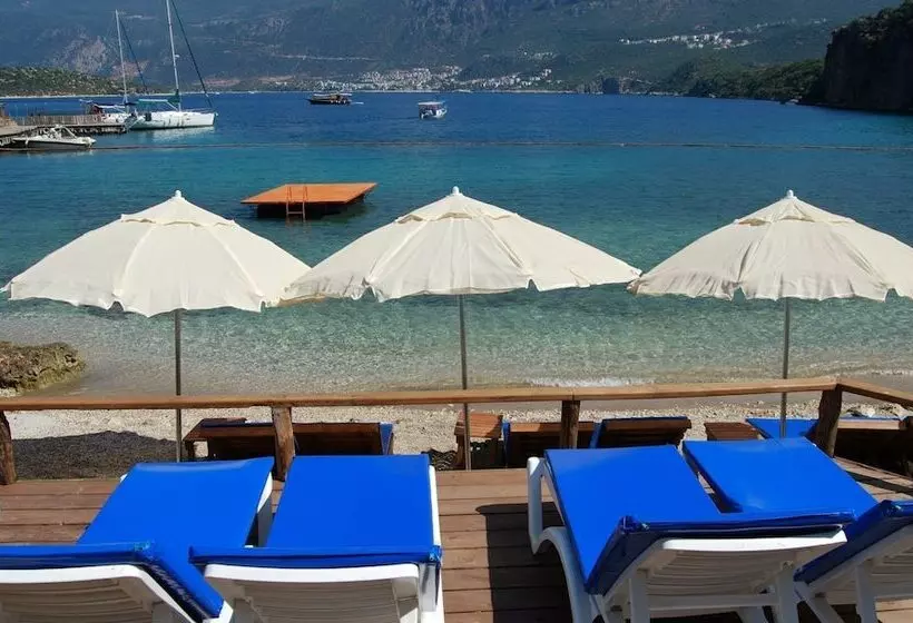 Hotelli Nuri's Beach Bungalow