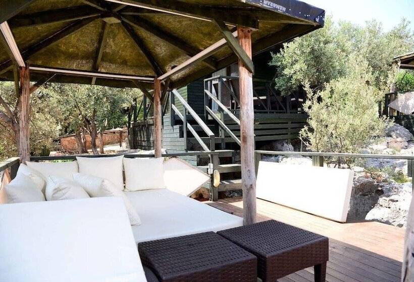 Hotel Nuri's Beach Bungalow