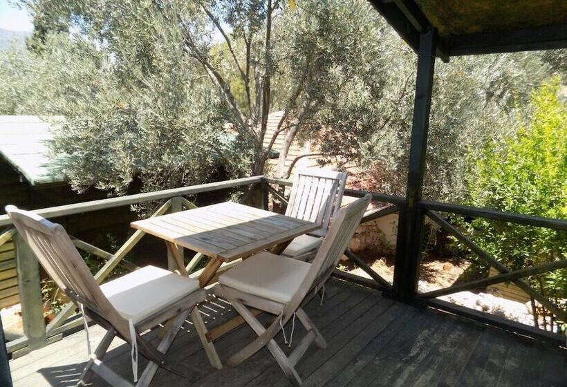 Hotel Nuri's Beach Bungalow