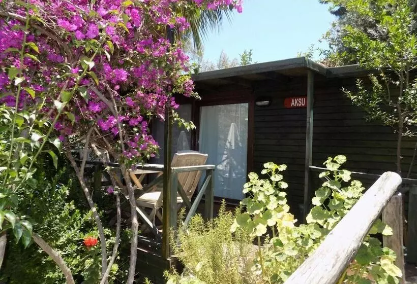 Hotelli Nuri's Beach Bungalow