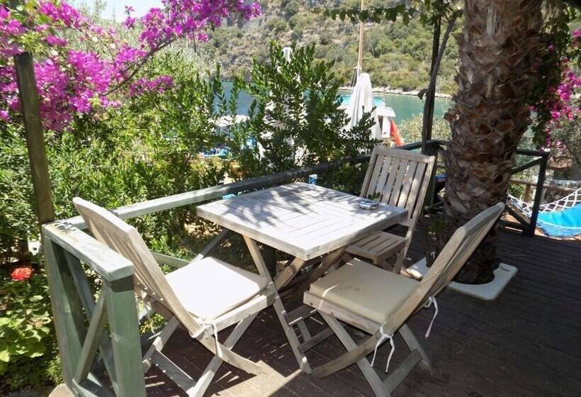 Hotel Nuri's Beach Bungalow