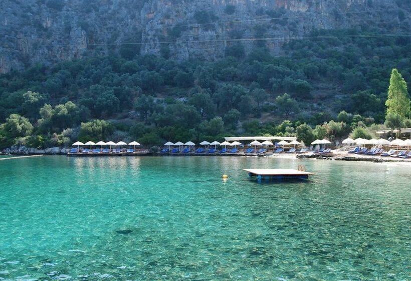 Hotel Nuri's Beach Bungalow