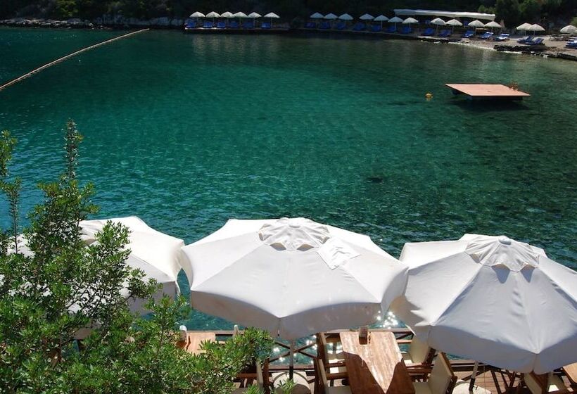 Hotel Nuri's Beach Bungalow