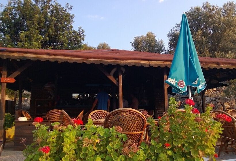 Hotel Nuri's Beach Bungalow