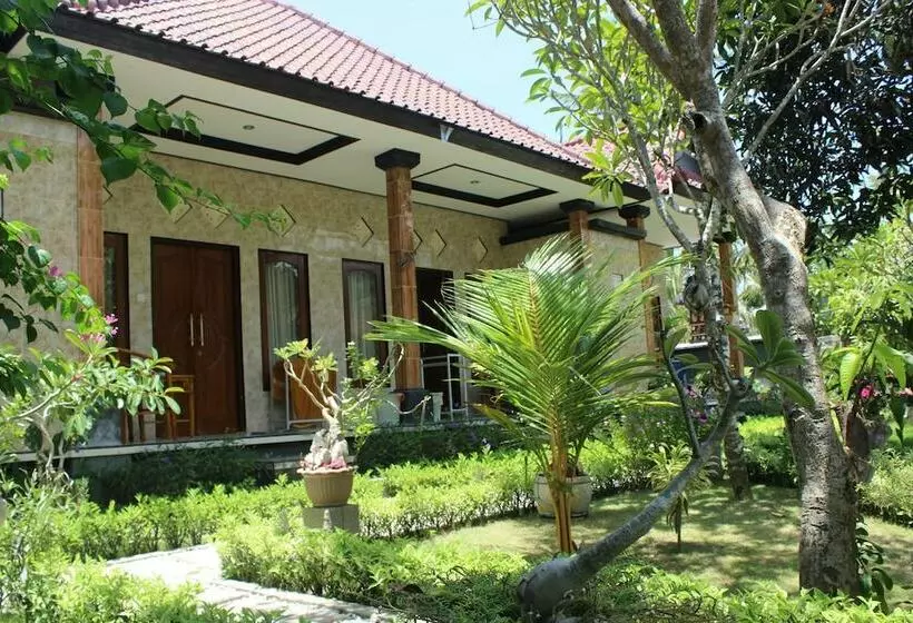 پانسیون D & Yoga Homestay