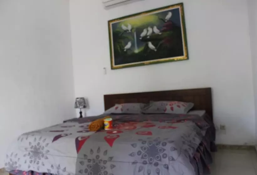پانسیون D & Yoga Homestay