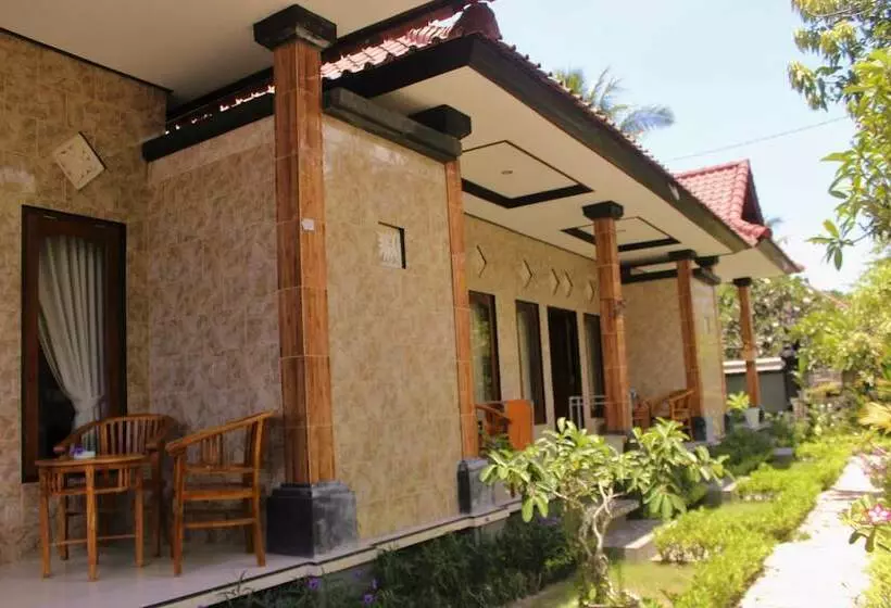 پانسیون D & Yoga Homestay