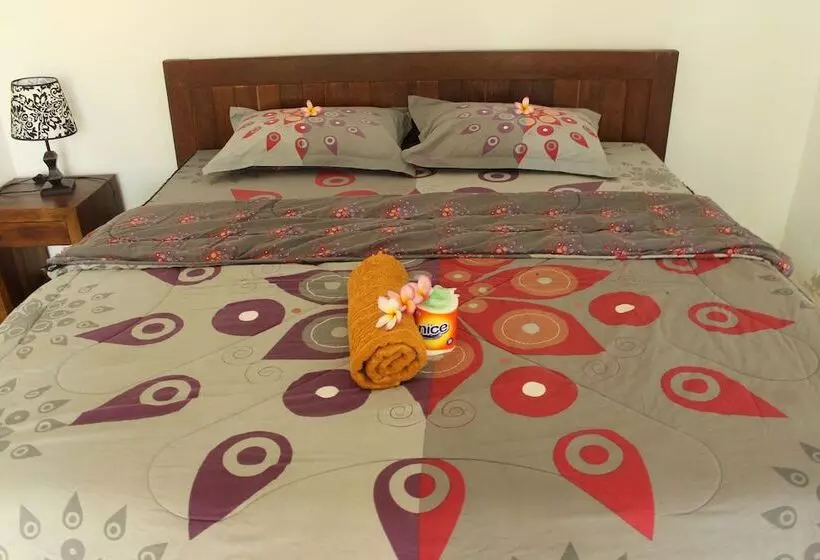 پانسیون D & Yoga Homestay