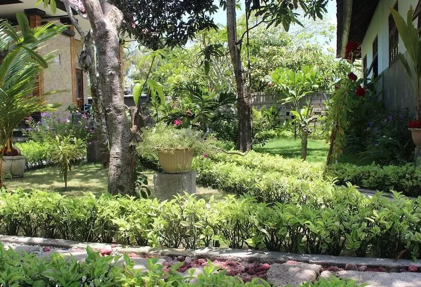 پانسیون D & Yoga Homestay