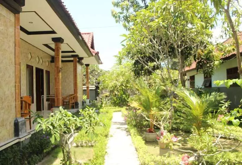 پانسیون D & Yoga Homestay